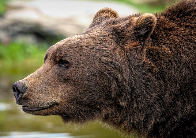 Jak URSUS Zmienia Oblicze Ekologicznego Rolnictwa?